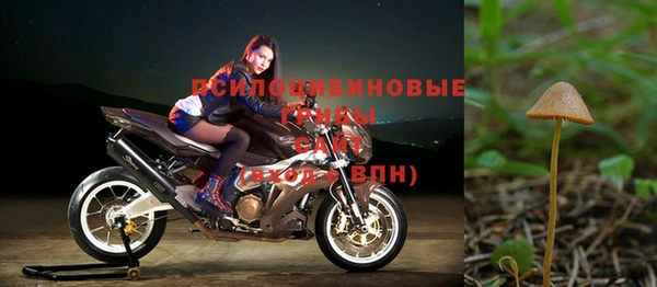 ALPHA PVP Костерёво