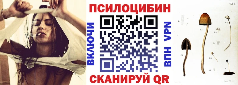Галлюциногенные грибы Psilocybine cubensis  Купить закладки  Нефтегорск 